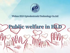 Public Welfare in HLD