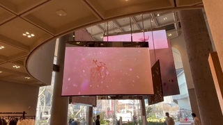 Niewidoczny, przezroczysty ekran LED